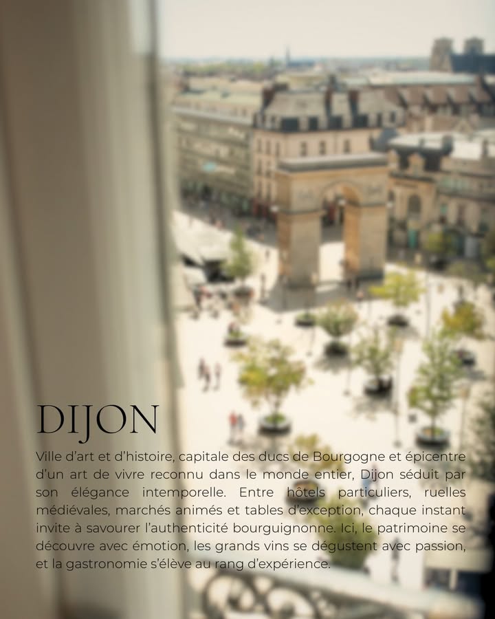 image présentation : Dijon, ville d’art et de luxe depuis La Cloche